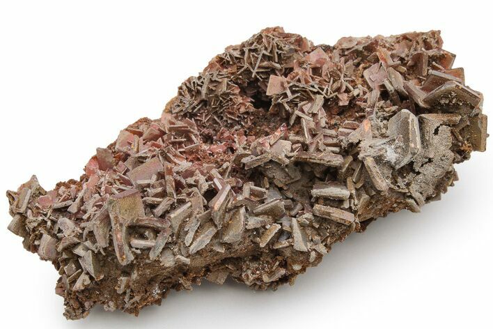 Striking, Red-Brown Wulfenite Cluster - Kuruktag Mountains, China #225011